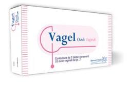 VAGEL 10 OVULI VAGINALI 2 G - Gruppofarmastore.it