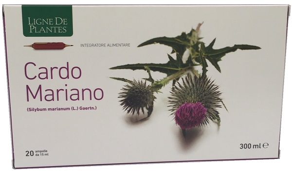 CARDO MARIANO BIOLOGICO 20 AMPOLLE BEVIBILI DA 15 ML - Gruppofarmastore.it