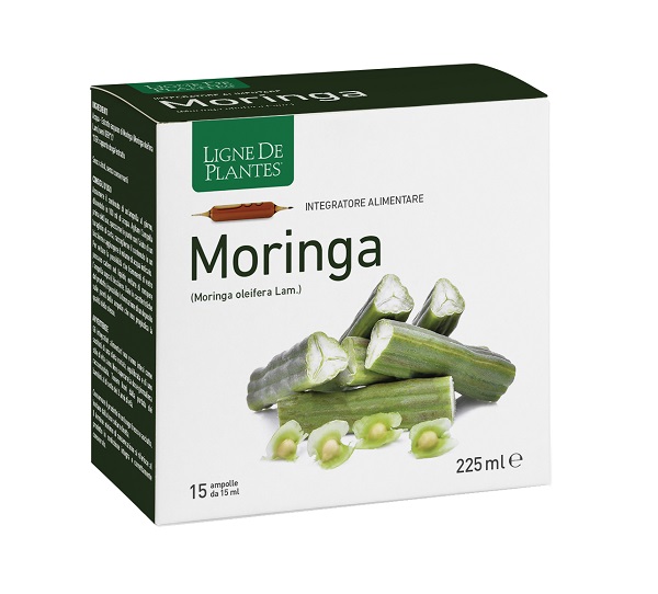 MORINGA 15 AMPOLLE BEVIBILI DA 15 ML - Gruppofarmastore.it