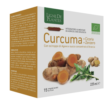 CURCUMA CICORIA ZENZERO BIO 15 AMPOLLE BEVIBILI DA 15 ML - Gruppofarmastore.it