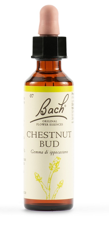 CHESTNUT BUD BACH ORIG 20 ML - Gruppofarmastore.it
