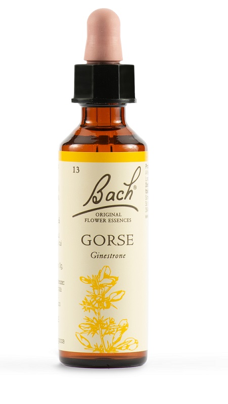 GORSE BACH ORIG 20 ML - Gruppofarmastore.it
