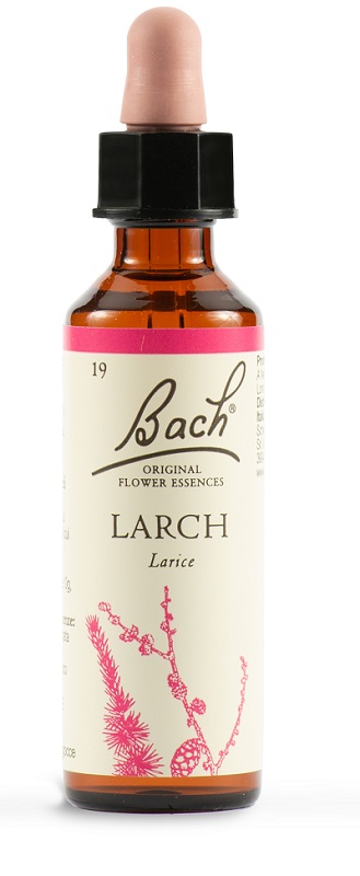 LARCH BACH ORIG 20 ML - Gruppofarmastore.it