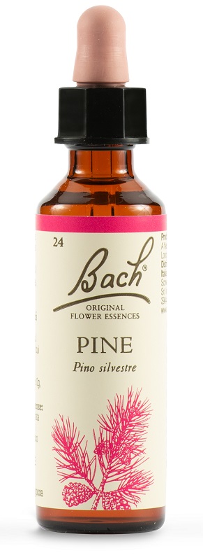 PINE BACH ORIG 20 ML - Gruppofarmastore.it