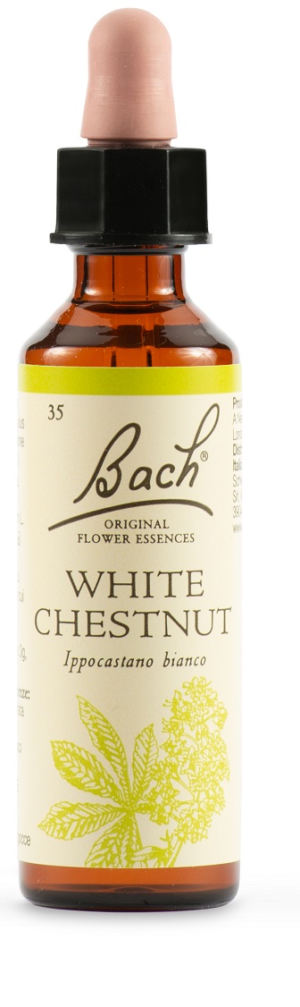 WHITE CHEST BACH ORIG 20 ML - Gruppofarmastore.it