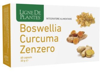 BOSWELLIA CURCUMA ZENZERO 60 CAPSULE - Gruppofarmastore.it