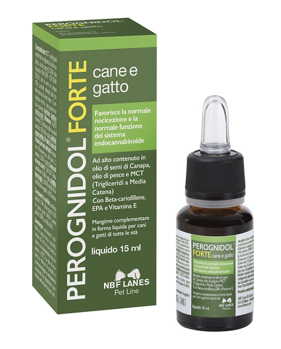 PEROGNIDOL FORTE 15 ML - Gruppofarmastore.it