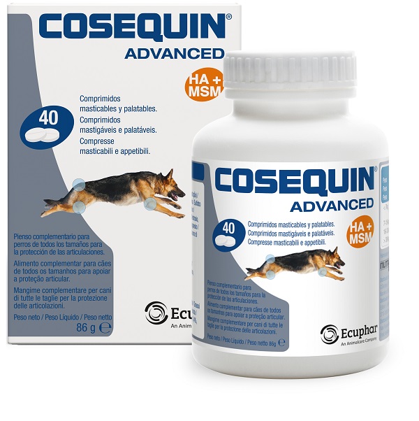 COSEQUIN GATTI 15 CAPSULE - Gruppofarmastore.it