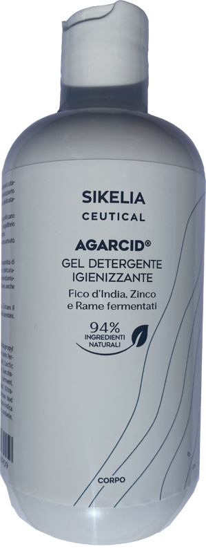 AGARCID GEL DETERGENTE IGIENIZZANTE 300 ML - Gruppofarmastore.it