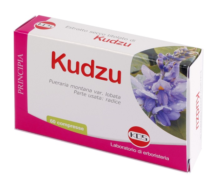 KUDZU ESTRATTO SECCO 60 COMPRESSE - Gruppofarmastore.it