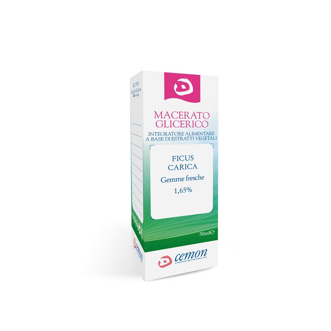 FICUS CARICA GEMME MACERATO GLICERICO 30 ML - Gruppofarmastore.it