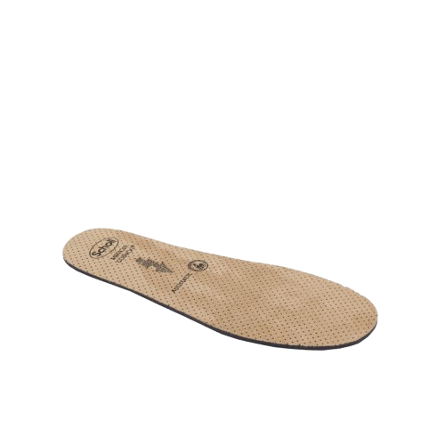 CLOG EVO MEM CUS UNI TAU 34-35 - Gruppofarmastore.it