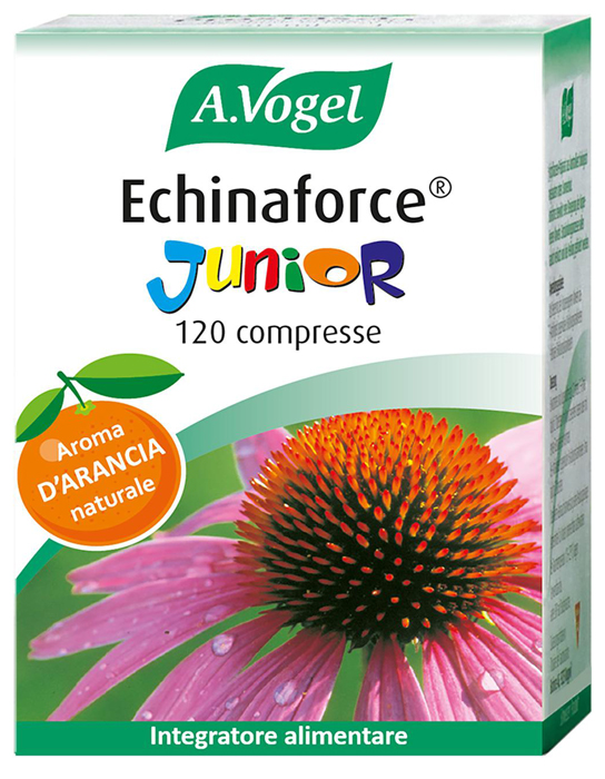 ECHINAFORCE JUNIOR 120 COMPRESSE - Gruppofarmastore.it