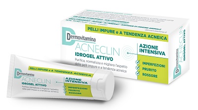 DERMOVITAMINA ACNECLIN IDROGEL ATTIVO AZIONE INTENSIVA 40 ML - Gruppofarmastore.it