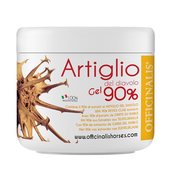 ARNICA GEL 90% 250 ML - Gruppofarmastore.it