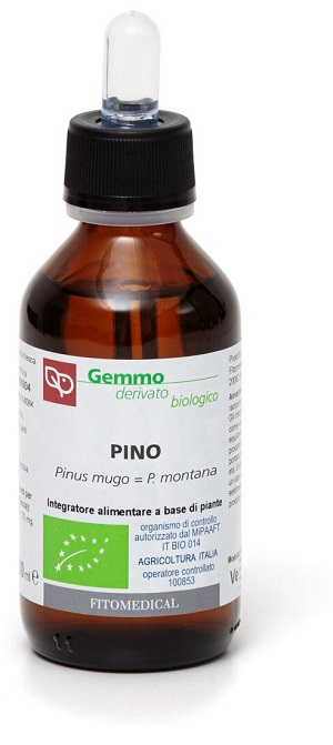 PINO MACERATO GLICERICO 100 ML BIO - Gruppofarmastore.it