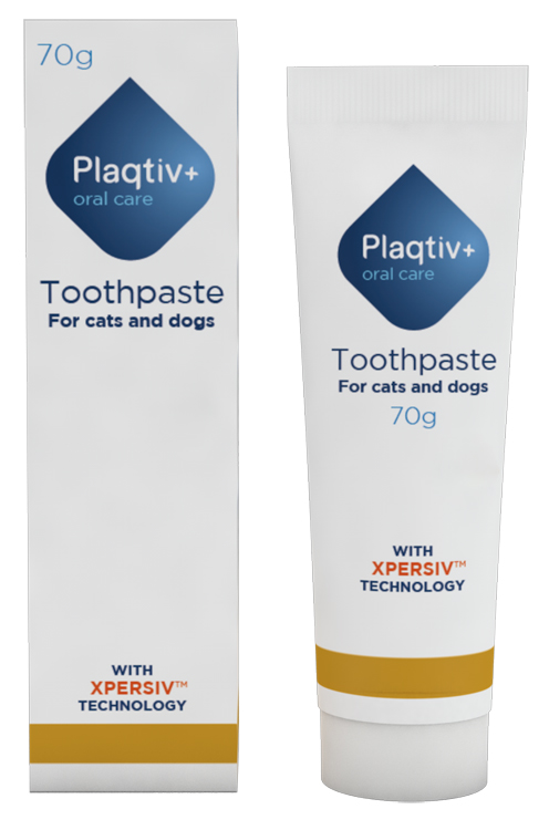 PLAQTIV+ ORAL CARE DENTIFRICIO IN PASTA 70 G - Gruppofarmastore.it
