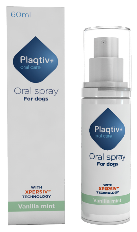PLAQTIV+ ORAL CARE SPRAY ORALE 60 ML - Gruppofarmastore.it
