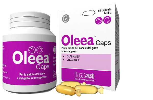 OLEEA CAPS 60 CAPSULE - Gruppofarmastore.it