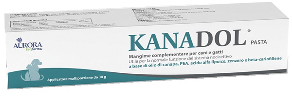 KANADOL PASTA 30 G - Gruppofarmastore.it
