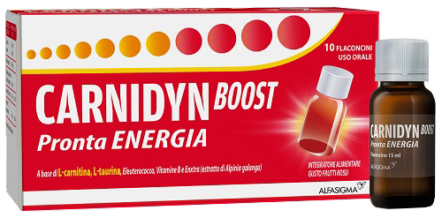 CARNIDYN BOOST 10 FLACONCINI - Gruppofarmastore.it