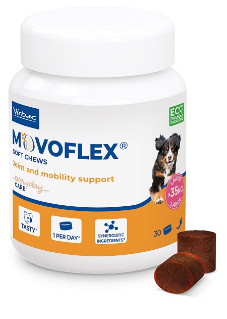 MOVOFLEX L 30 COMPRESSE MASTICABILI - Gruppofarmastore.it