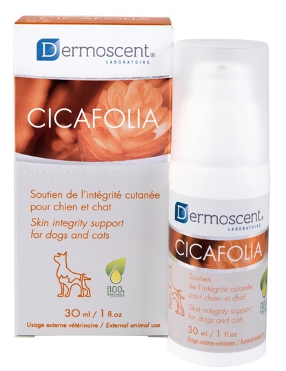 DERMOSCENT CICAFOLIA FOR DOGS AND CATS 30 ML - Gruppofarmastore.it