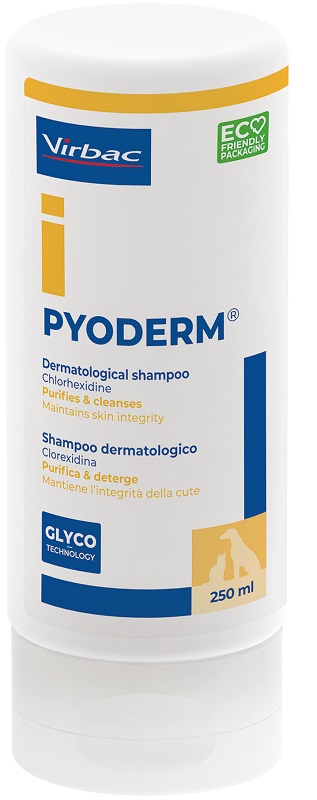 PYODERM SHAMPOO 250 ML - Gruppofarmastore.it